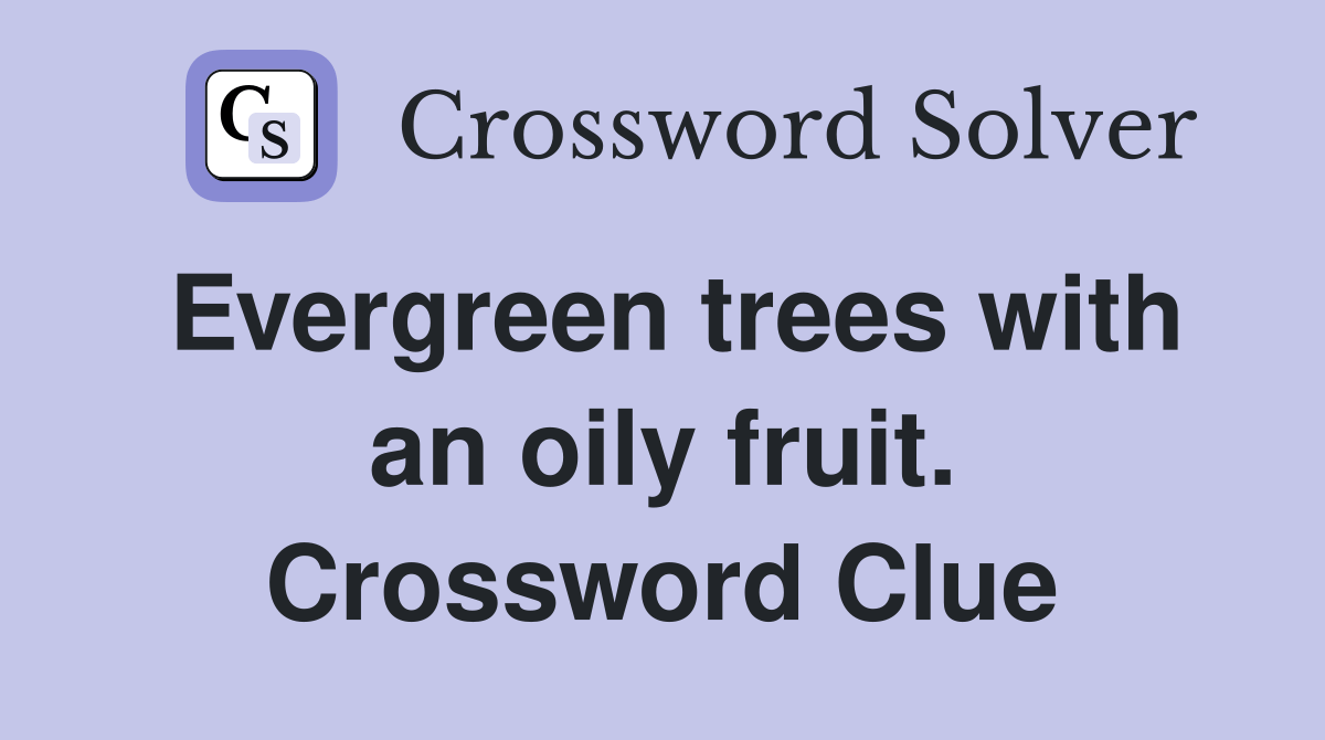 Evergreen trees with an oily fruit. Crossword Clue Answers